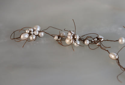 The Cluster in Brown